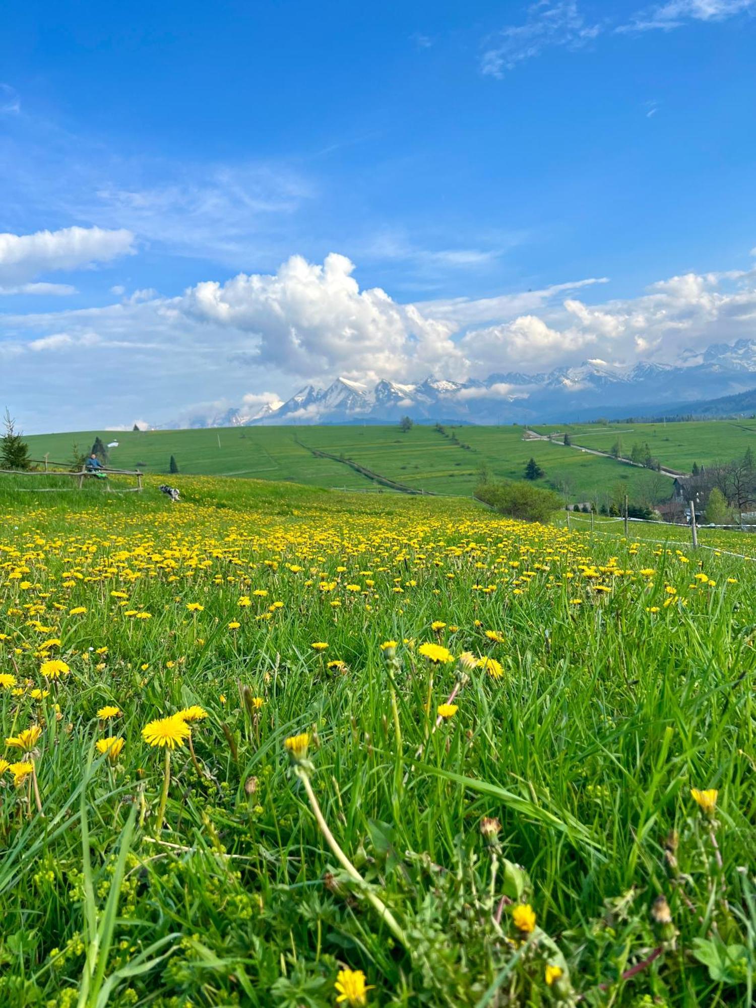 Agrodomek Rzepiska Екстериор снимка